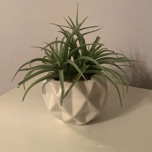 Artificial Spider Plant